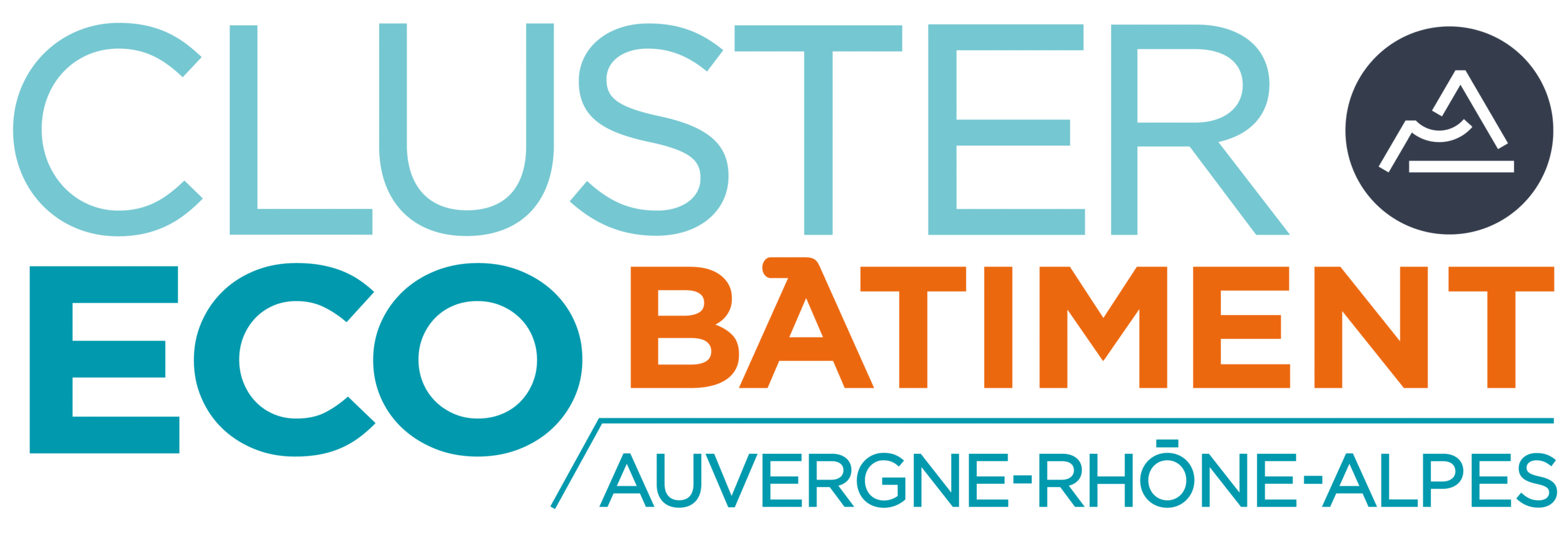 LogoMasterCluster-PASTILLE-01