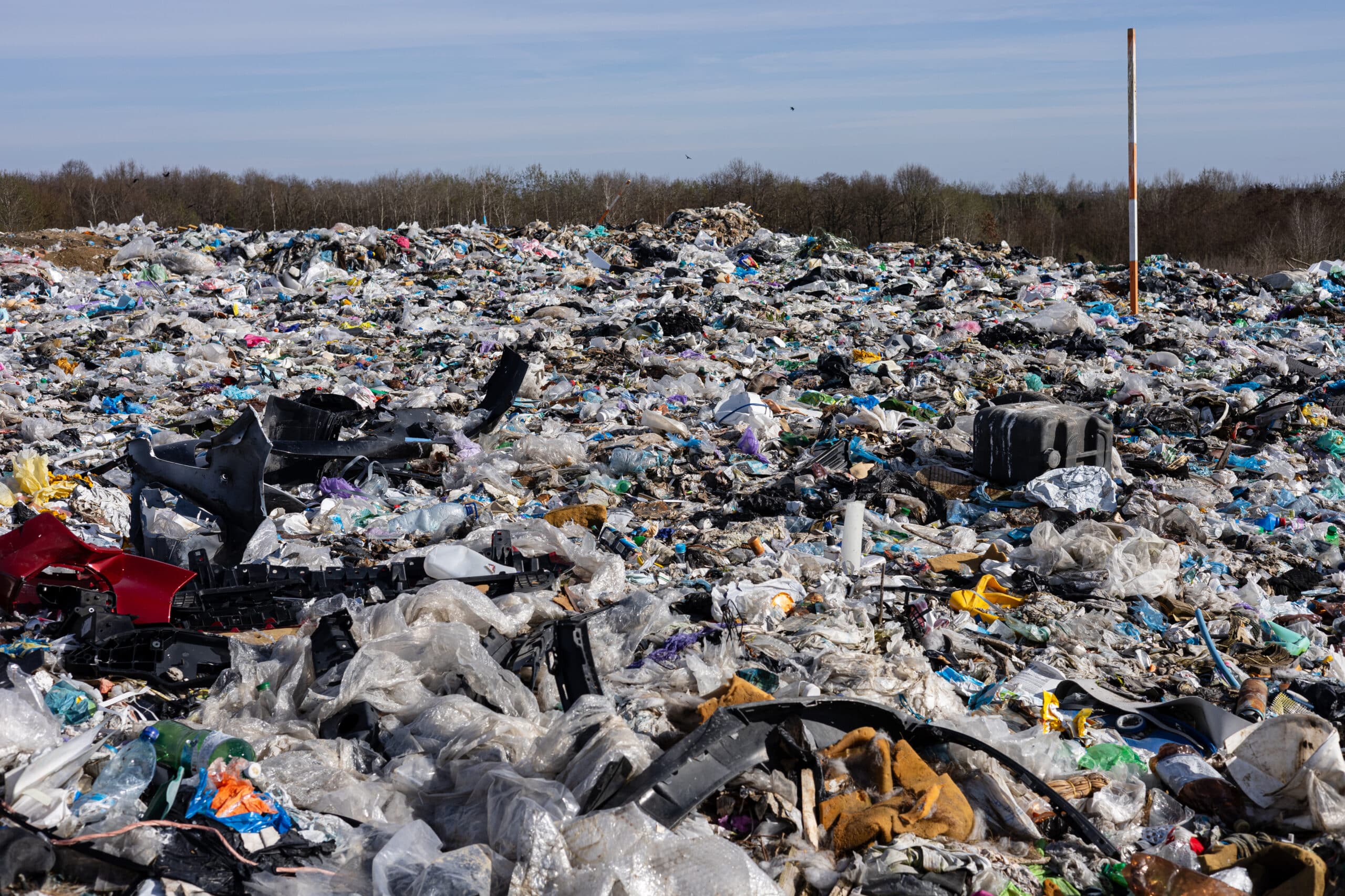 Entre urgence environnementale et transformation des organisations : s’intéresser davantage au syndrome qu’aux symptômes.