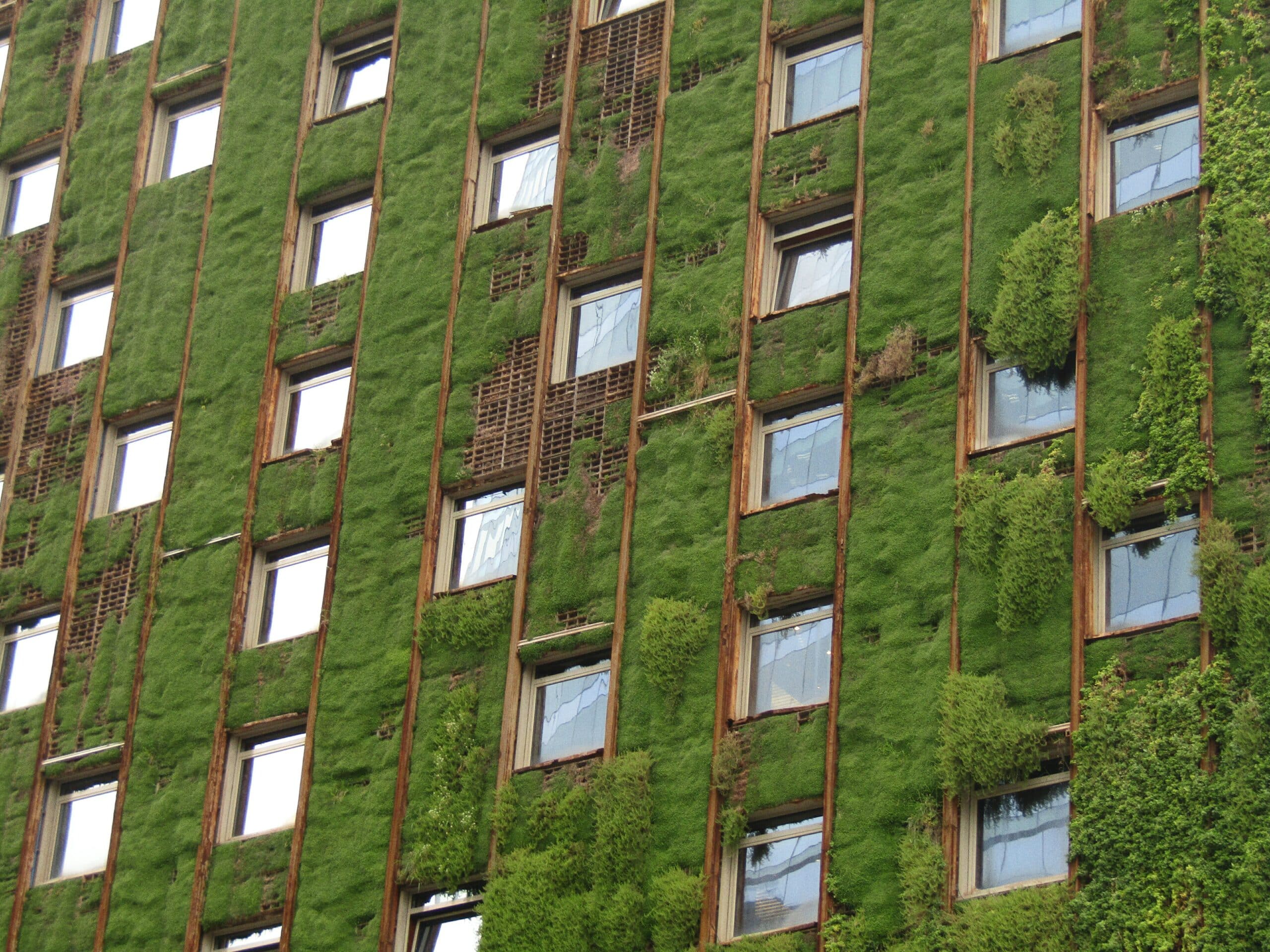 Décarboner le bâtiment : quand matériaux, performance énergétique et numérique redéfinissent le secteur